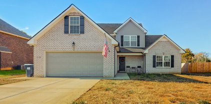 3118 Dusenburg Dr, Christiana