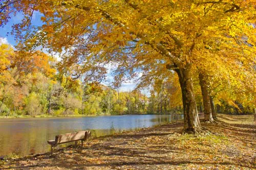 Devon Wayne PA Real Estate