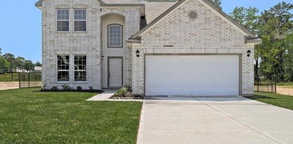21426 Indigo Ruth Drive, Spring