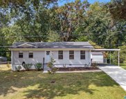 2824 Buckskin Drive, Gardendale image