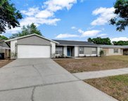 4014 Orangefield Place, Valrico image