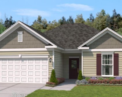 1009 Maraschino Way, Lyman