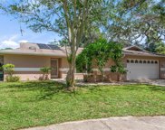 55 Harbor Oaks Circle, Safety Harbor image