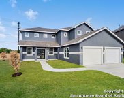 509 Cactus Flower, Cibolo image