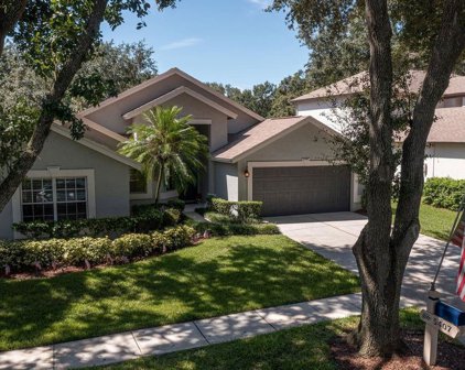 5407 Twin Creeks Drive, Valrico