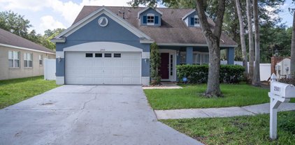 2501 Deer Forest Drive, Lutz