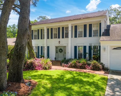 16909 Rolling Rock Drive, Tampa