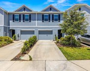 10910 Flying Squirrel Avenue, Tampa image