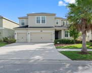12210 Morgans Bluff Place, Riverview image