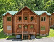 307 CANEY CREEK RD, Pigeon Forge image