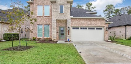 15182 N Heron Heights Way, Magnolia