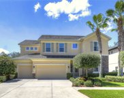 11701 Arbor Mead Avenue, Riverview image