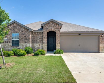 3002 Shetland  Street, Forney