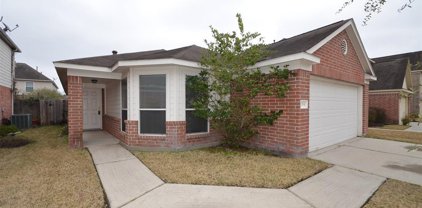 20938 Foxwood Garden Drive, Humble