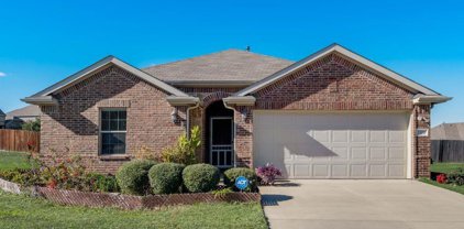 3101 Persimmons  Way, Forney