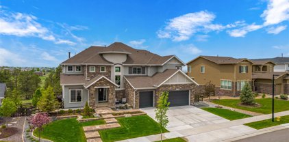 11595 Petina Point, Parker
