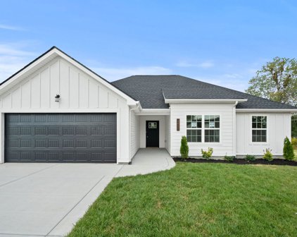 3248 Sofia Ln, Springfield