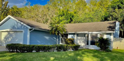 14667 Eagles Crossing Drive, Orlando