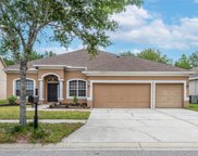 11717 Summer Springs Drive, Riverview image