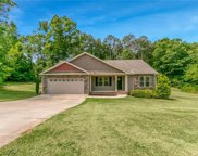 113 Orchard Springs Drive, Inman image
