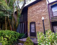 4911 Casimir St, Annandale image