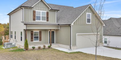 509 Buford Johnson, La Vergne