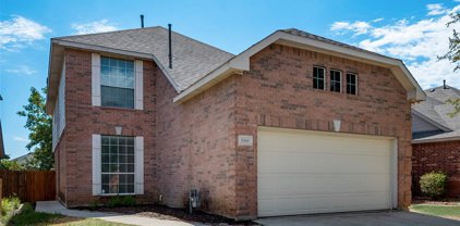 5348 Lily  Drive, Fort Worth