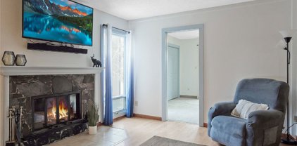3471 Ryan Gulch  Road Unit 3471, Silverthorne