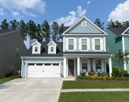1016 Magnolia Warbler Way, Ravenel image