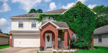 13961 Buckskin Drive, Willis