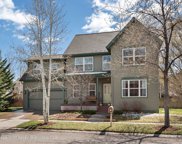 350 Meadow Drive, Basalt image