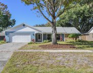 2161 Durham Court, Mount Dora image