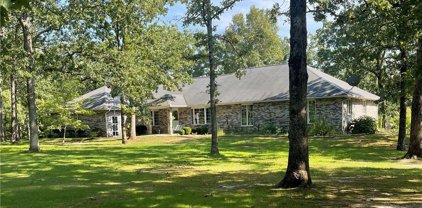 178 Davison Road, Roach