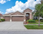 10746 Rockledge View Drive, Riverview image