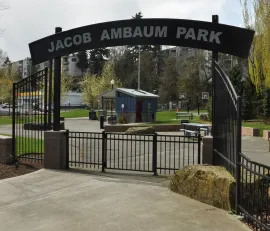jacob-ambaum-park
