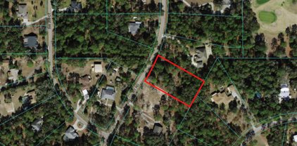TBD Sw 209th Court Road, Dunnellon