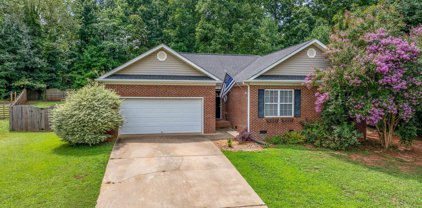 508 Brightfield Lane, Greer