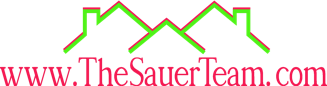 Thesauerteam.com