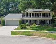16904 Tacopa Court, Tampa image