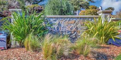 2106 Wildflower CT, Daly City