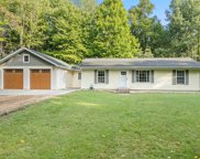 10610 Gold Lake Road, Belding image