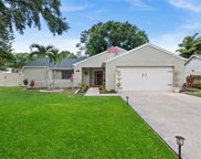 12504 Twisted Oak Drive, Tampa image