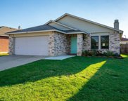 16116 Hollyhill  Court, Fort Worth image