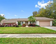15905 Dover Cliffe Drive, Lutz image