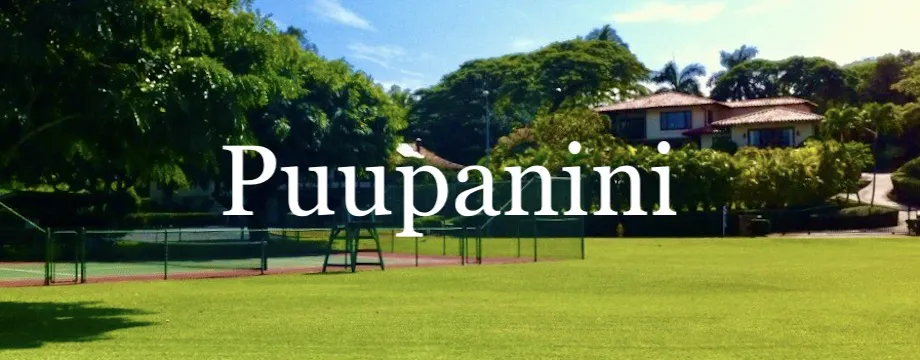 Puupanini Market Report