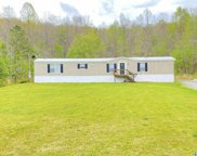 398 Mountain Terrace, Odenville image