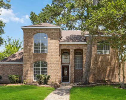 18351 Arbor Terrace Drive, Spring