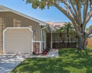 3303 Hibiscus Drive, Palm Harbor image