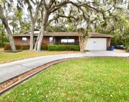 930 Crenshaw Lake Road, Lutz image