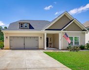 511 Triumph Road, Chapin image